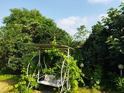 زمین کمربندی لواسان